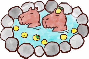 カピパラ2匹、ゆず湯に入る