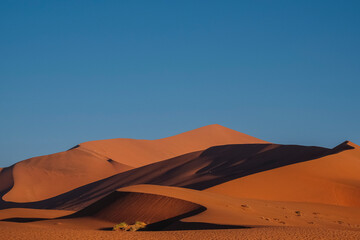 Fototapeta na wymiar dune landscape namib desert,Sossusvlei, Namibia
