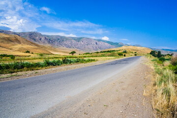 Fototapeta na wymiar road in the middle of blooming green meadows in Armenia