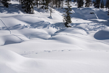 un bel panorama innevato di montagna, le dolomiti coperte dalla neve