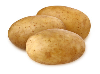potato tubers isolated on a white background.