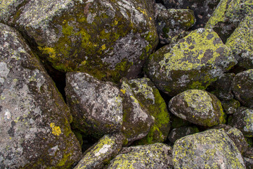 Fototapeta na wymiar The texture of the stone is covered with green lichen. The surface of an old stone.