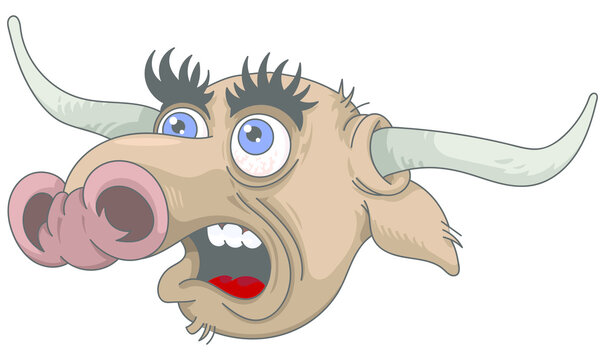 T&ecirc;te de taureau rigolo !