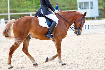 A red sports horse with a rider riding with his foot in a boot.