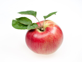 Ripe red and yellow apple with leaves on a white background