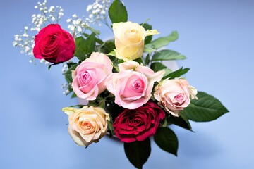 Bouquet of rainbow coloured roses for Valentine's Day.