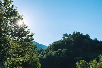 Obraz premium trees and sky