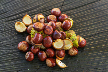 Chestnuts in green wrapping and without wrapping on a wooden bench. The photo has a nice bokeh in the setting sun.