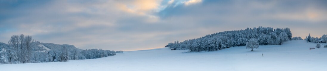 Fototapeta na wymiar Matzingen im Thurgau vesinkt im Schnee