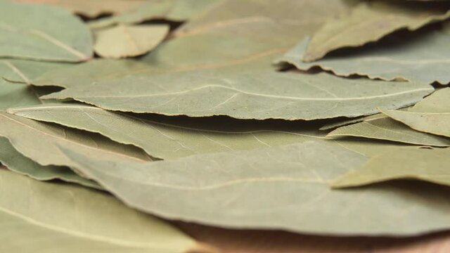 Dried leaves of bay leaf macro. Dolly shot. Extreme close up. Bay Laurel Laurus Nobilis