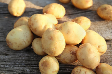 Young potato close-up on wooden background