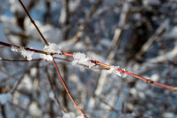 Matzingen im Thurgau vesinkt im Schnee