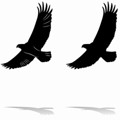 silhouette of eagle, vector drawing
