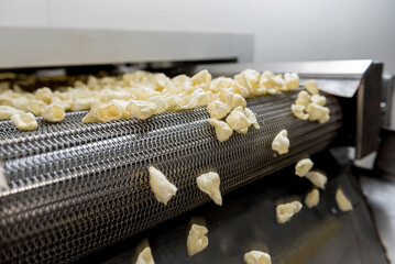 Conveyor line for frying snacks and chips in a modern factory