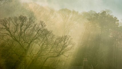 Obraz na płótnie Canvas Stunning landscape image of sun rays bursting through Winter trees on thick foggy morning