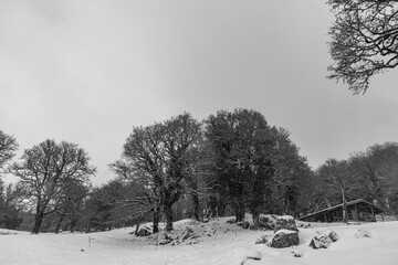 Molise, Italy.  Spectacular winter panorama.