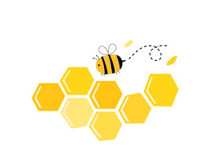 Hand drawn honeycomb with flying bee cartoon on white background vector illustration.