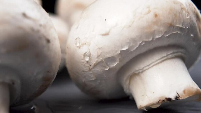 Drops of pure water on fresh mushrooms champignons in slow motion. Macro. Water drops - Powered by Adobe
