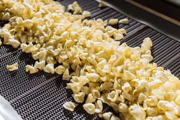 Conveyor line for frying snacks and chips in a modern factory