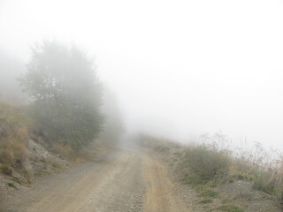 Mountain road among trees in white fog. Dull. The abyss.