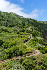 Steep Path up cliff side on Madeira Island