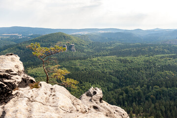 Wandern im Elbsandsteingebirge