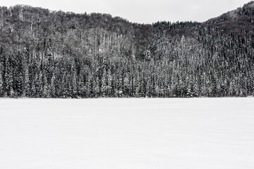 Winter snowy forest for background. Winter landscape of Saint Anne Lake in Romania. 