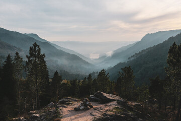 Fantastic shot of a foggy forest on the hill background