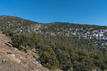 Fototapeta na wymiar Sierra Nevada covered with snow
