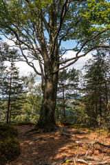 Wandern im Elbsandsteingebirge