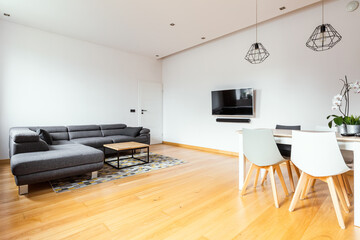 Modern living room with grey sofa