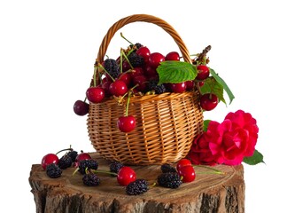Isolate wicker basket with cherries and mulberries on a tree stump.