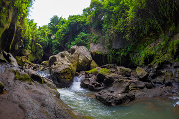 Fototapeta na wymiar River flowing through jungle at the Hidden Canyon Beji Guwang