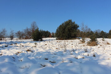 Zimowy krajobraz © SZYMON