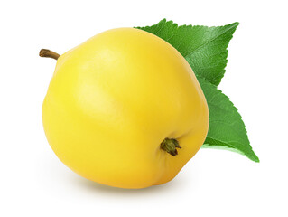 Fresh quince isolated on the white background with clipping path and full depth of field