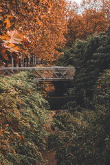 Green meets orange in La Villette Park