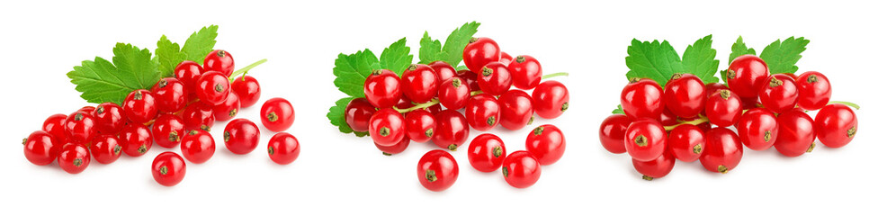 Red currant berries with leaf isolated on white background. Set or collection