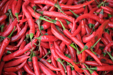 Indonesia Bali Negara - Pasar Umum Negara - State Public Market - Hot red chili peppers