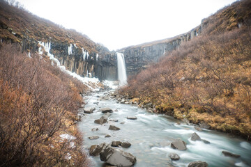 Svartifoss waterfall in Iceland in Winter