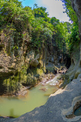 Fototapeta na wymiar River flowing through jungle at the Hidden Canyon Beji Guwang