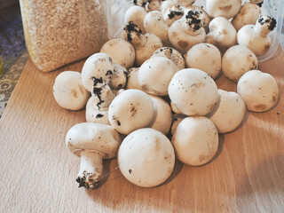 Raw ingredients to prepare a risotto with champignons  mushrooms