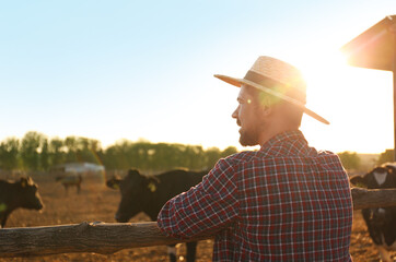 Worker standing near cow pen on farm. Animal husbandry - obrazy, fototapety, plakaty