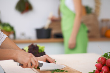 Close-up of human hands cooking vegetables salad in kitchen. Healthy meal and vegetarian concept