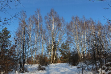 Zimowy krajobraz © SZYMON