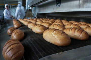 fresh baked bread