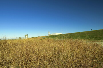 枯れ草のある冬の江戸川河川敷風景