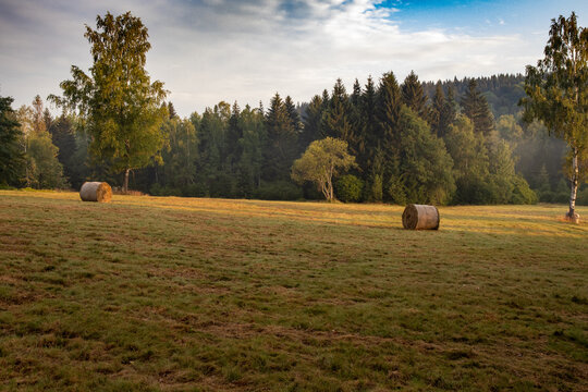 Autumn, meadow and haymaker