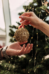 Hands of young woman giving golden decorating Christmas toy ball to her man to put them on Christmas tree before celebration