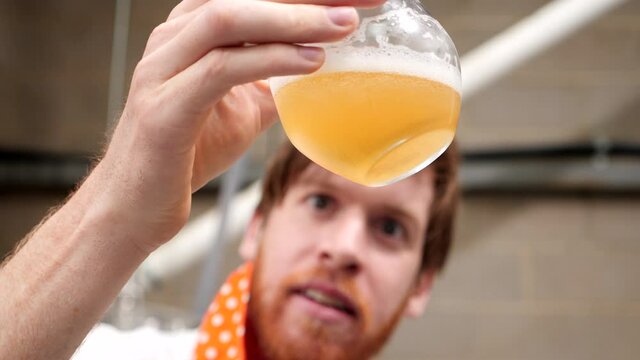 Inspecting a beer close up man