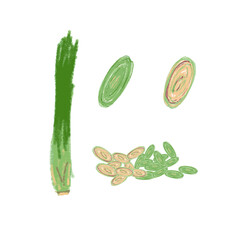 Lemongrass hand drawing doodle vector file 